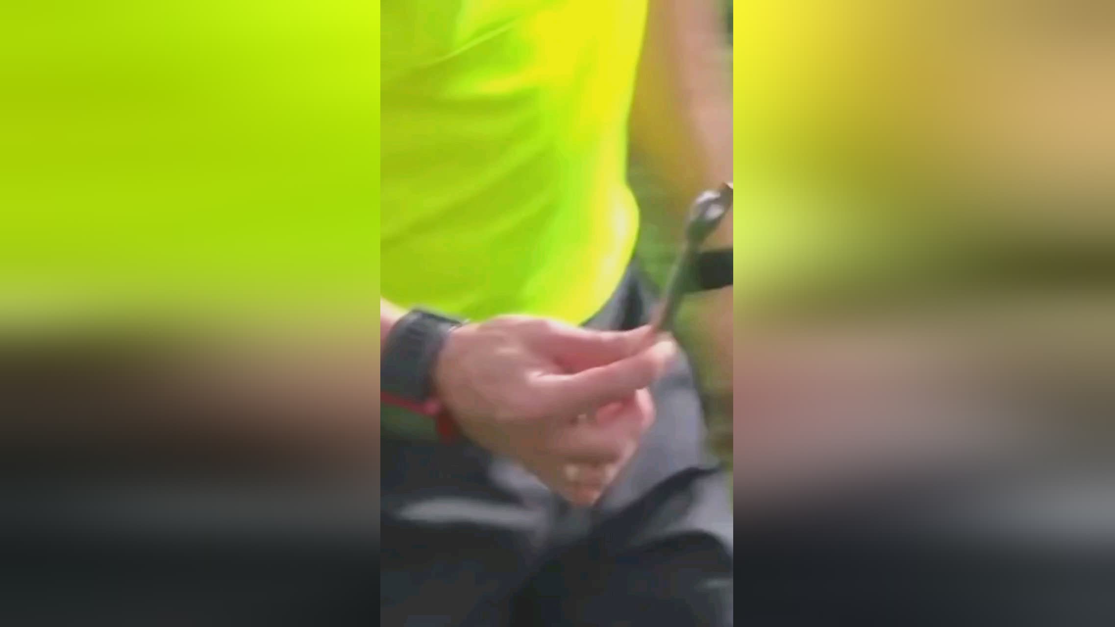 步在维